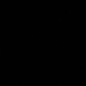 Meet your Posher, Bobby